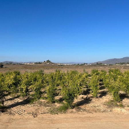 Villas Persas By Jardin De Persia Valle de Guadalupe Bagian luar foto